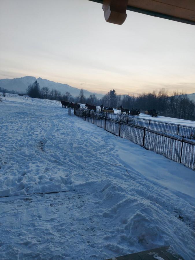 Domek Zakopane Tatrzanski Kacik Apartzakop Kültér fotó